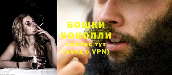 сатива Баксан