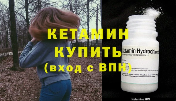 сатива Баксан