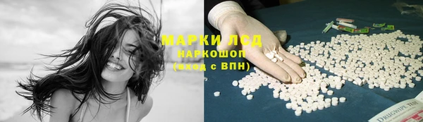 сатива Баксан