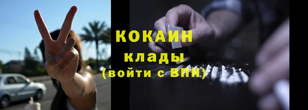 сатива Баксан